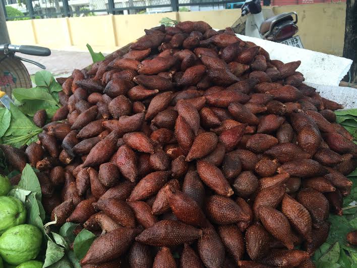 Mây Thái, quả lạ, màu nâu đỏ, nhiều gai, loạn giá, Hà Nội, hét giá, Thái Lan, dân bán hoa quả dạo, mây-Thái, quả-lạ, màu-nâu-đỏ, nhiều-gai, loạn-giá, Hà-Nội, hét-giá, Thái-Lan, dân-bán-hoa-quả-dạo Mây Thái, quả lạ, màu nâu đỏ, nhiều gai, loạn giá, Hà Nội, hét giá, Thái Lan, dân bán hoa quả dạo, mây-Thái, quả-lạ, màu-nâu-đỏ, nhiều-gai, loạn-giá, Hà-Nội, hét-giá, Thái-Lan, dân-bán-hoa-quả-dạo