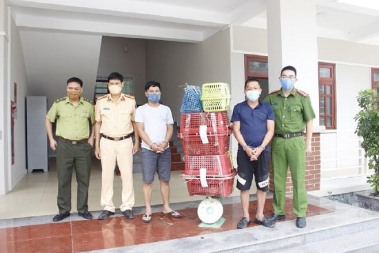 Công an tỉnh Nghệ An bắt vụ vận chuyển trái phép 7 cá thể hổ