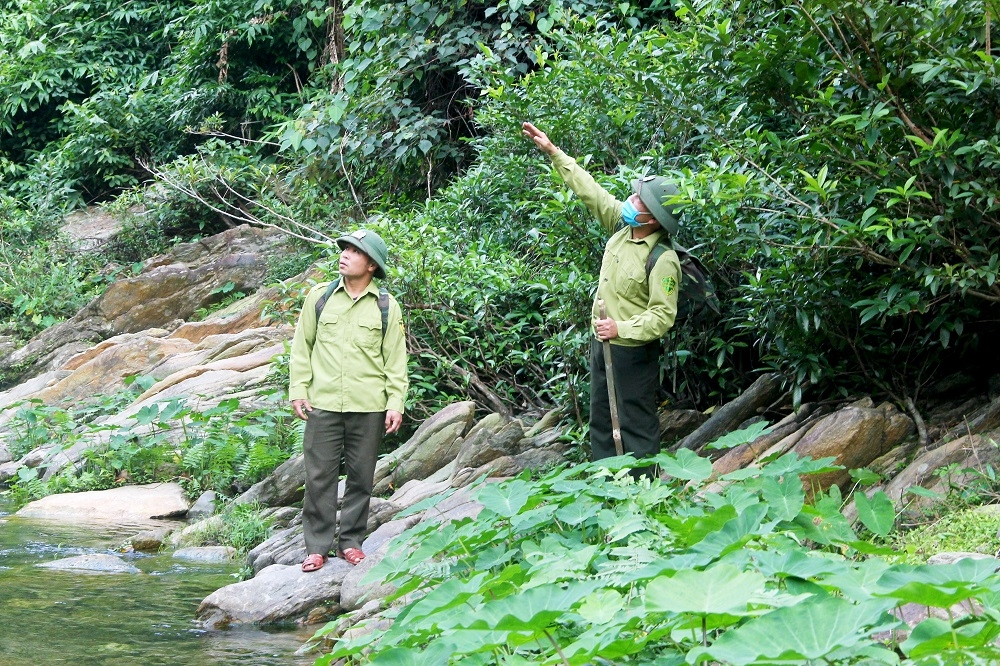 Chật vật với nghề bảo vệ rừng ở miền Tây Nghệ An