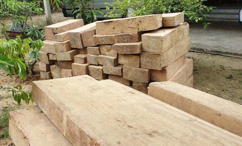 Huế: Phát hiện hàng chục phách gỗ “lậu” tuồn ra Bắc