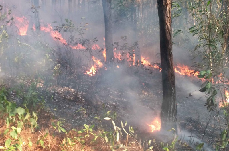 Thừa Thiên Huế: Rừng cháy đồng loạt ở nhiều nơi, di dân khẩn cấp