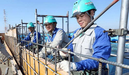 Nhật Bản bổ sung 7 loại hình công việc trong chương trình lao động kỹ năng đặc định