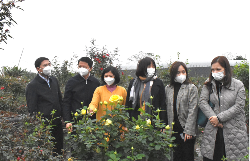 Huyện Mê Linh: Trao đổi hợp tác với doanh nghiệp, tìm hướng tiêu thụ nông sản, hoa cho người dân