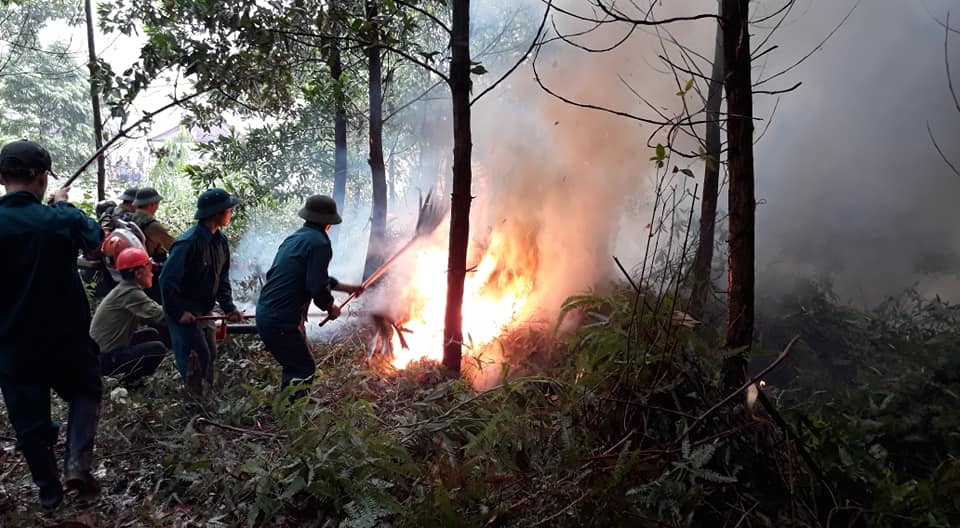 Huyện Ba Vì: Tăng cường bảo vệ, phòng chống cháy rừng
