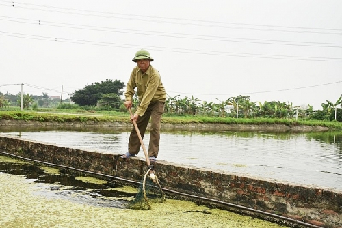 Ứng Hòa tìm hướng phát triển kinh tế bền vững