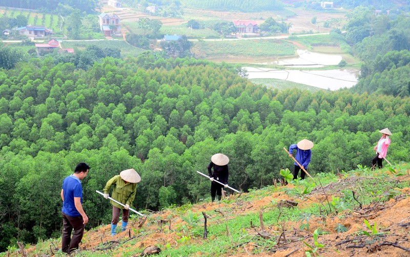 Phát huy vai trò cộng đồng trong giảm phát thải, suy thoái rừng