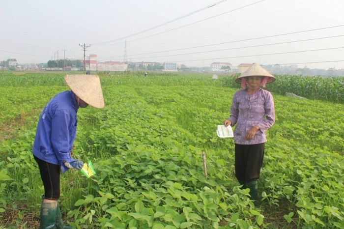 Cách làm hay trong bảo vệ môi trường