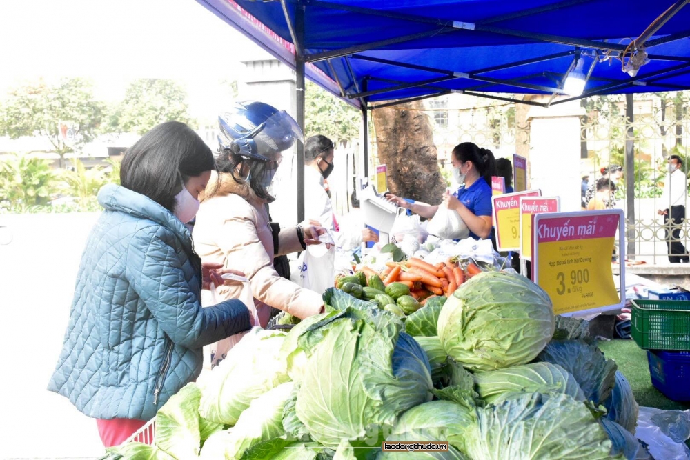 Vận động đơn vị, doanh nghiệp hỗ trợ Hải Dương, Quảng Ninh tiêu thụ nông sản