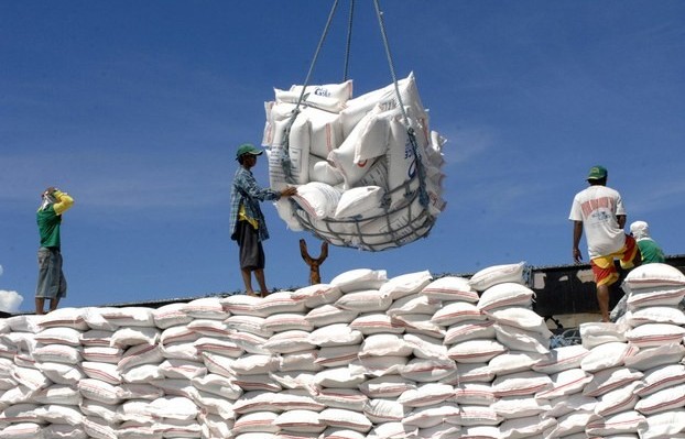 Tích cực triển khai các giải pháp tháo gỡ khó khăn cho xuất khẩu gạo