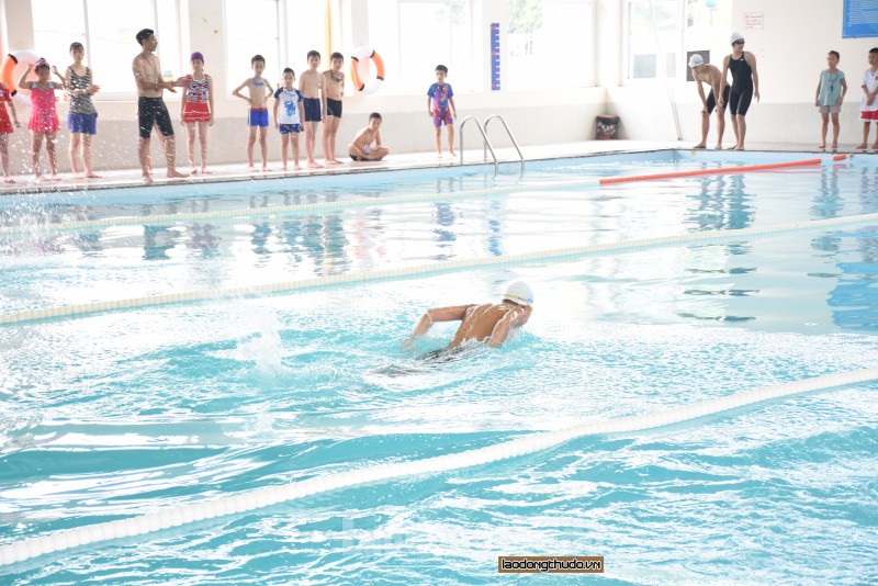 Hoãn tổ chức giải Bơi học sinh phổ thông toàn quốc năm 2020
