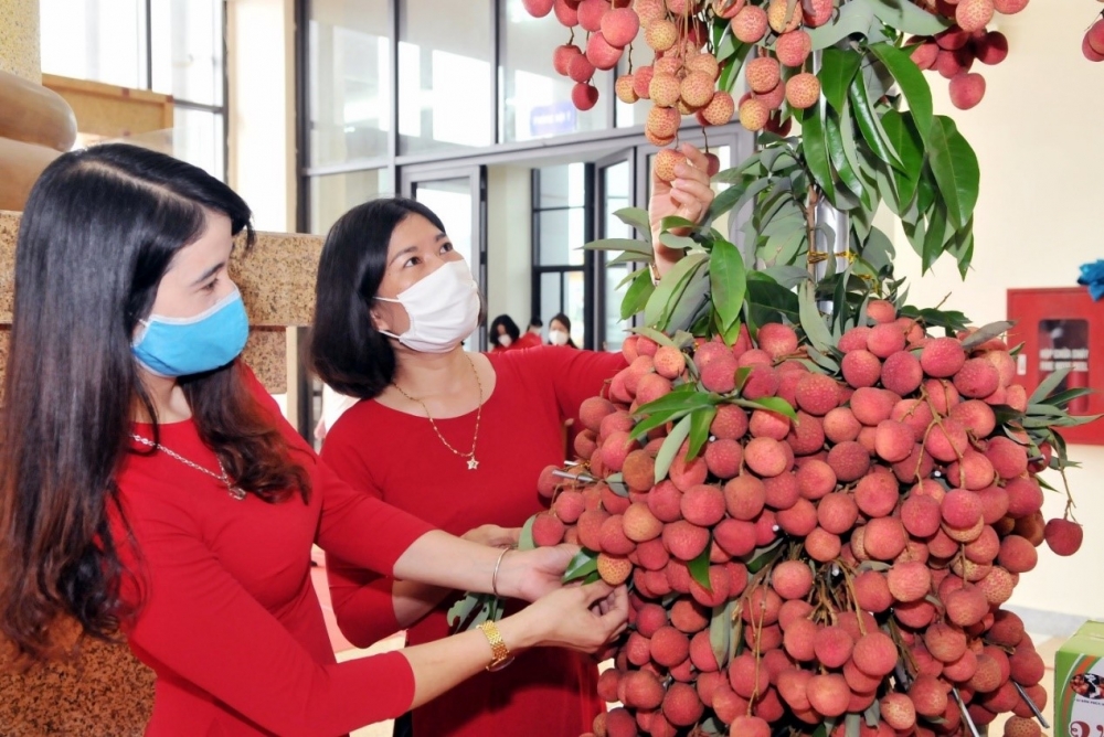 Vải thiều Việt Nam được quảng bá đa dạng tại Nhật Bản