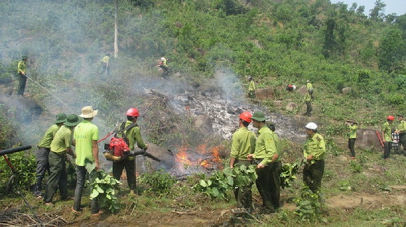 Chủ động phòng cháy, chữa cháy rừng trong thời điểm nắng nóng
