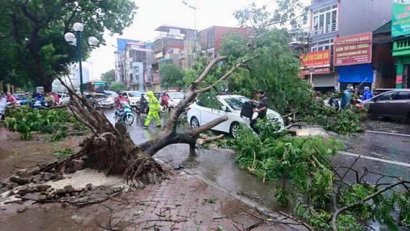 Hà Nội thiệt hại sau cơn bão số 1 ước tính khoảng 200 tỷ đồng
