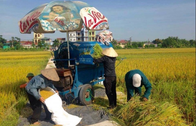 Huyện Thanh Trì: Chú trọng xây dựng hệ thống chính trị vững mạnh