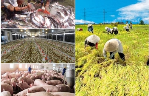 Đối thoại thách thức và hướng tận dụng hiệu quả EVFTA trong nông nghiệp