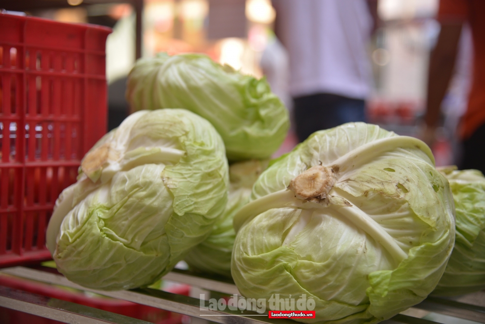 An toàn, sáng tạo từ mô hình 