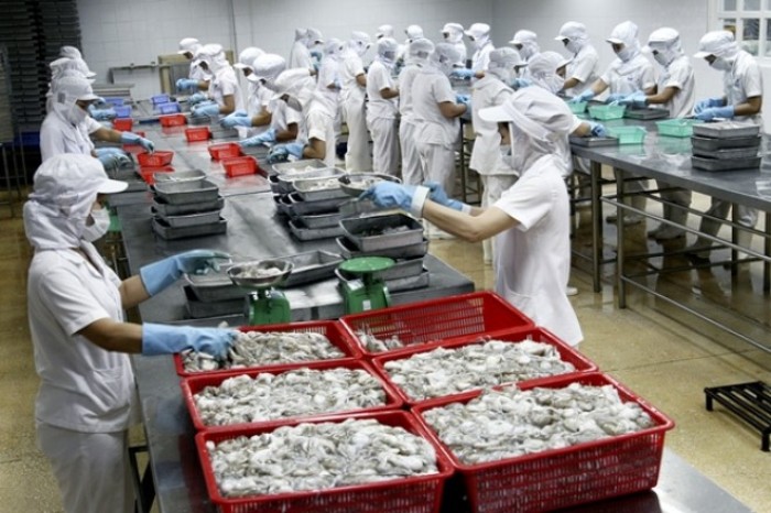 Tăng cường kiểm soát an toàn thực phẩm thủy sản xuất khẩu