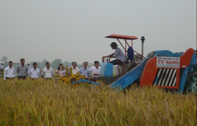 Huyện Thường Tín: Tăng tốc hoàn thành mục tiêu nông thôn mới vào năm 2020