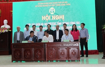 Sở Nông nghiệp và Phát triển Nông thôn Hà Nội tăng cường kết nối giao thương