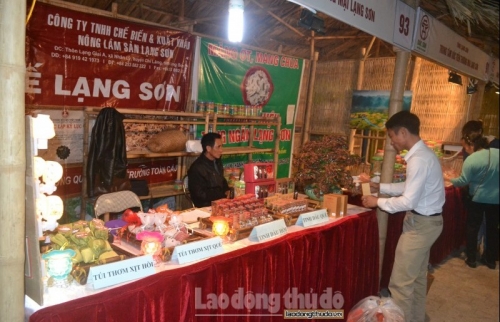 Hà Nội phối hợp với 21 tỉnh, thành cung cấp thực phẩm an toàn cho người dân