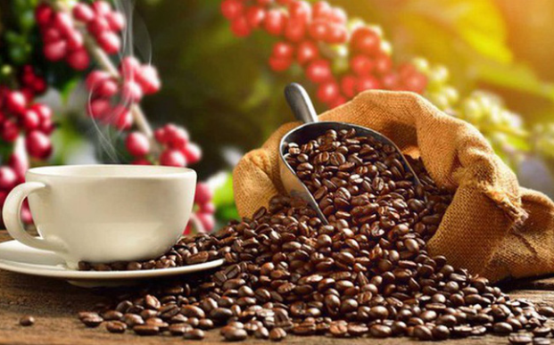 Thúc đẩy xuất khẩu các sản phẩm cà phê chế biến sang thị trường nước ngoài