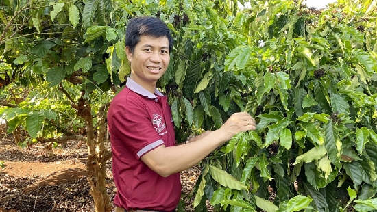 Khát vọng nâng tầm cà phê Việt
