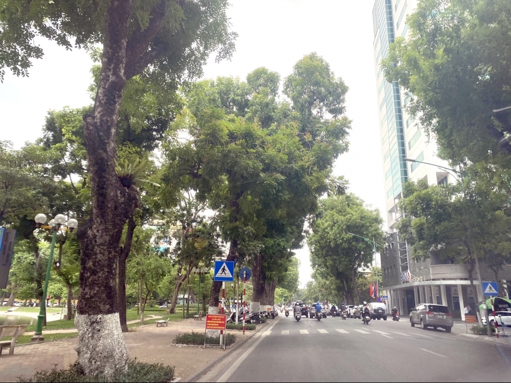 Bảo vệ những “lá phổi xanh” của Thủ đô