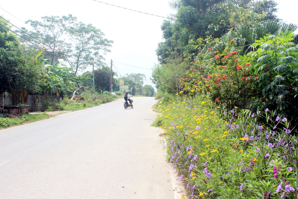 Sắc màu tươi mới trên các miền ngoại thành