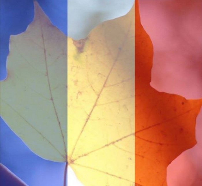 Avatar quốc kỳ Pháp phủ sóng mạng xã hội Facebook