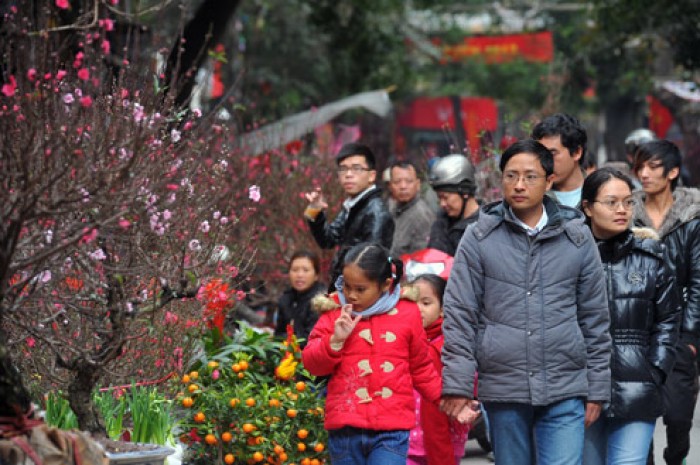 Tổ chức 47 chợ hoa xuân trên địa bàn thành phố Hà Nội