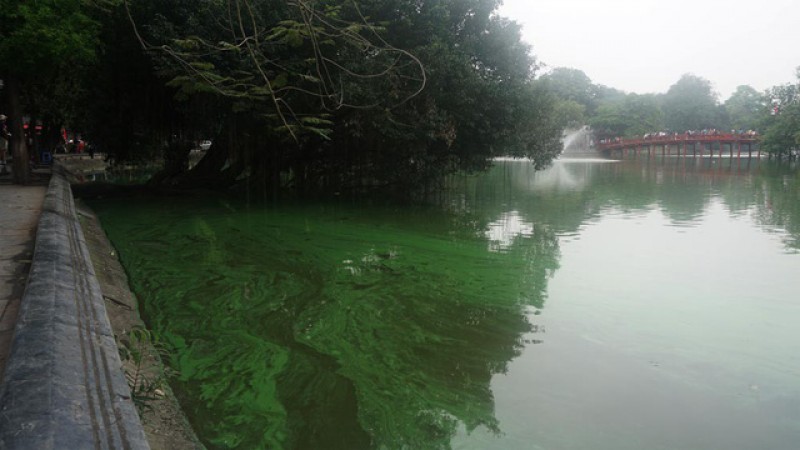Không có hiện tượng tảo nở hoa, phú dưỡng trên hồ Hoàn Kiếm