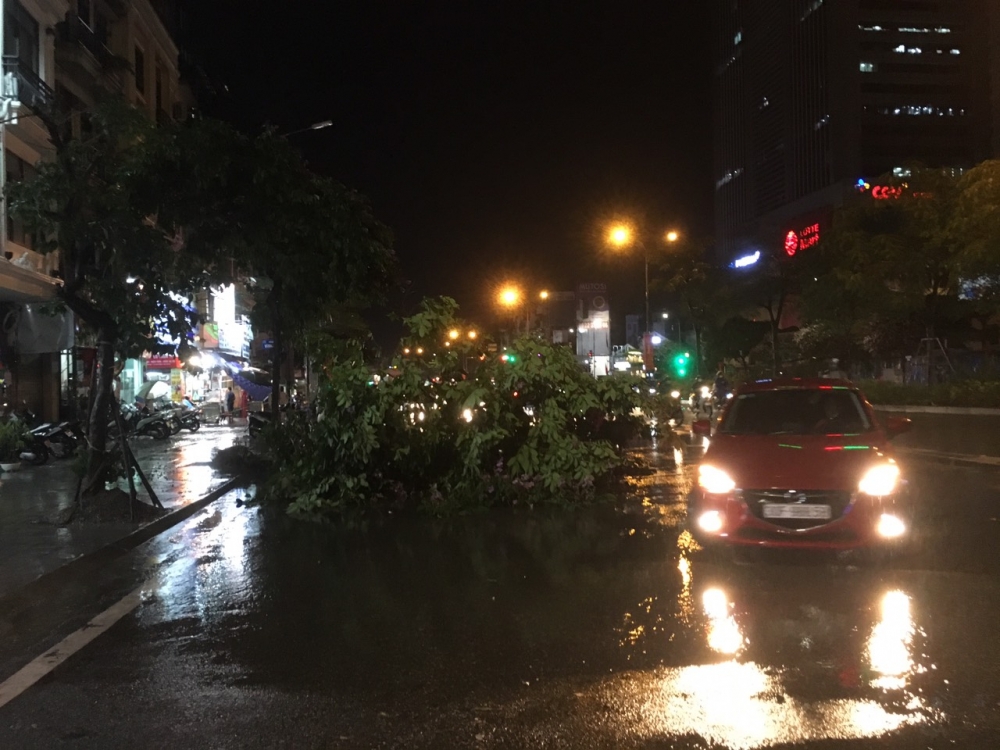 Hà Nội:  Cơn giông kèm mưa lớn tối nay đã làm gãy, đổ nhiều cây xanh và gây úng ngập cục bộ