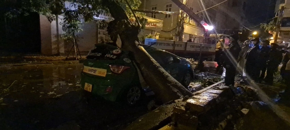 Hà Nội: Cây xanh bật gốc đè bẹp xe taxi trên phố Bùi Bằng Đoàn