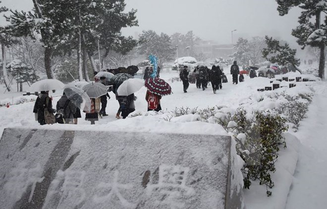 Nhật Bản: Tuyết rơi dày gần 2,5m, đã có hơn 300 người thương vong