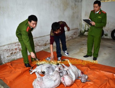 Bắt gần 200kg thịt dê “trôi nổi” từ Sơn La về Ninh Bình tiêu thụ