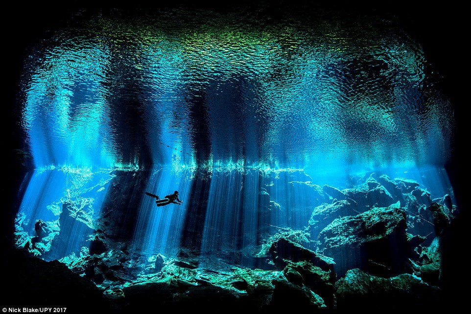 Chiêm ngưỡng khung cảnh ngoạn mục dưới đáy đại dương