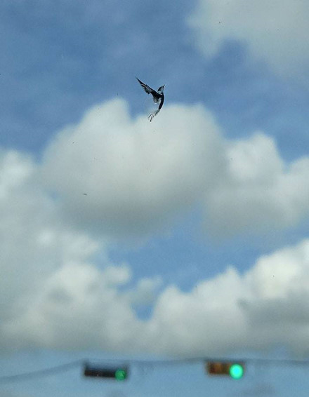 kho tin nhung buc anh ao dieu chua tung chinh sua photoshop