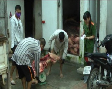 Lạng Sơn: Phát hiện gần 5 tấn thịt lợn bốc mùi thối
