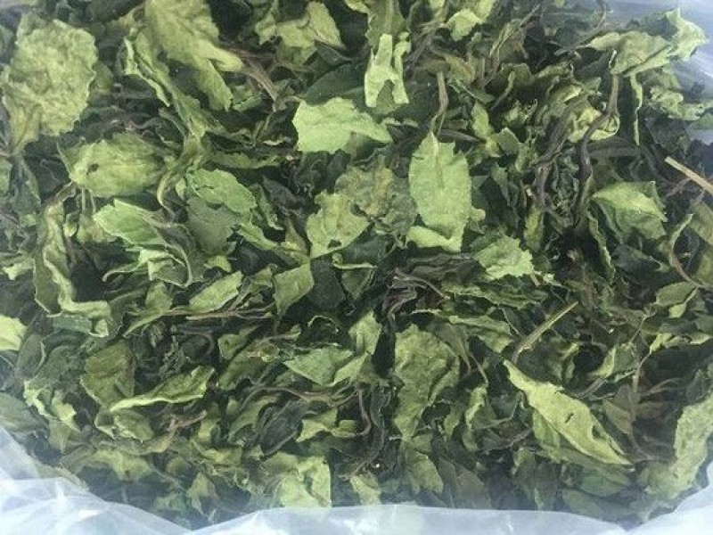 Lá Khát cũng thuộc hàng cấm