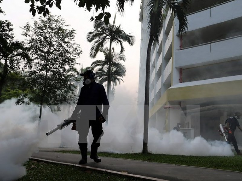 singapore xac nhan 16 phu nu mang thai bi nhiem virus zika