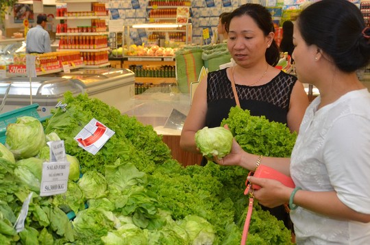 Rau cải xanh được phong là “siêu thực phẩm” Ảnh: Tấn Thạnh