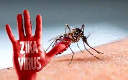TPHCM: 80% số quận huyện bị vi rút Zika tấn công