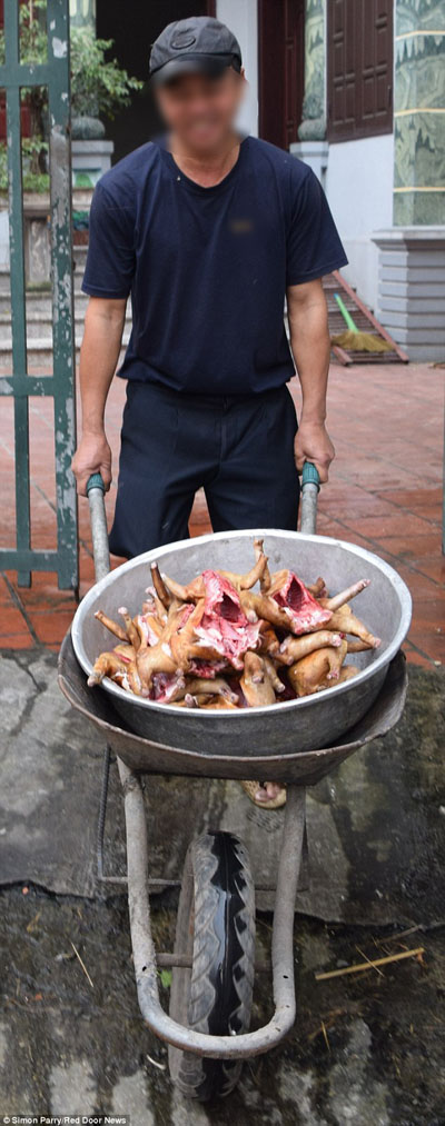 Một  chiếc xe cút kít chở đầy “tiểu hổ” được mang tới cửa hàng mà phóng viên Simon  ghé vào.