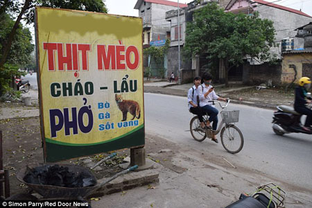 “Tiểu  hổ” đang được chế biến trong bếp để chuẩn bị phục vụ thực khách.