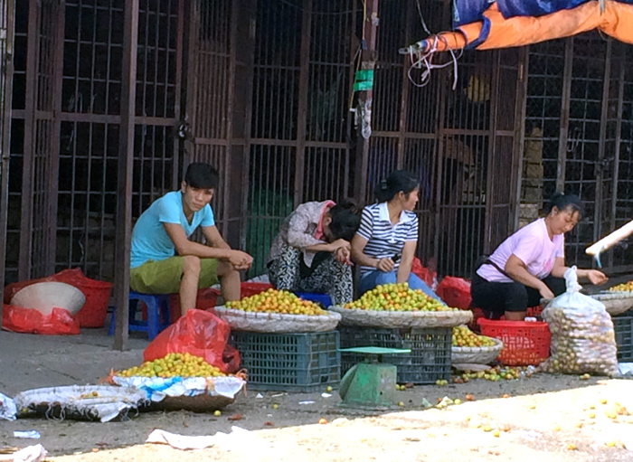 Mận Trung Quốc tại chợ đầu mối có giá 6.000-8.000 đồng/kg