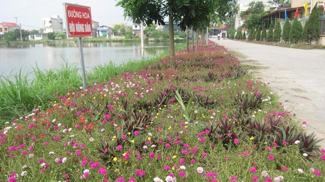 Công nhận huyện Phú Xuyên đạt chuẩn nông thôn mới