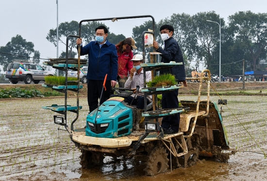 Lãnh đạo thành phố Hà Nội xuống đồng, động viên bà con nông dân