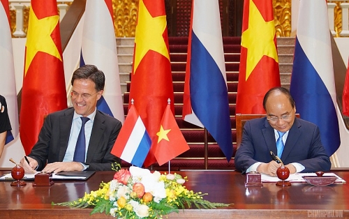 Việt Nam-Hà Lan: Hợp tác chuyển đổi nông nghiệp tại Đồng bằng sông Cửu Long   