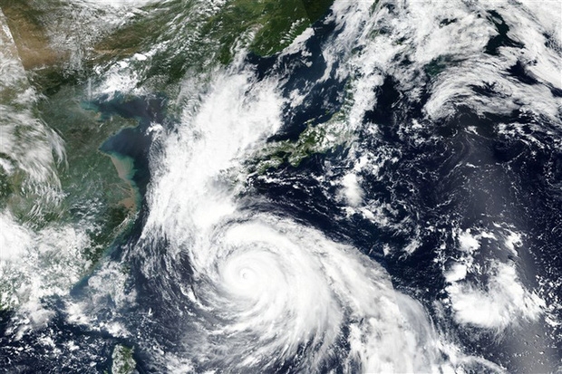 Hai thực tập sinh Việt Nam mất tích tại Nhật Bản do ảnh hưởng của bão Haisen