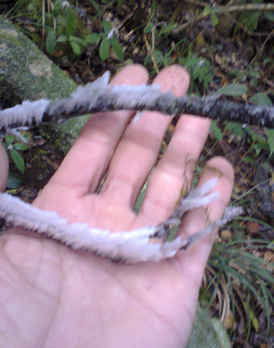 Băng tuyết, hình ảnh, Nghệ An, sương muối, địa phương